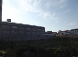 DSCF0177